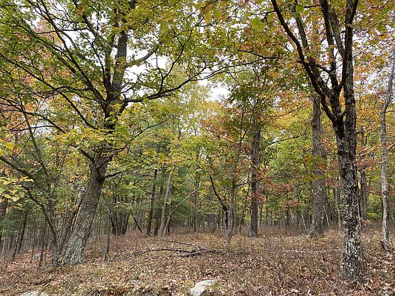 3rd image of 35 Ponderosa Pne