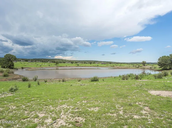 1604 State Highway 24, Weed, NM 88354