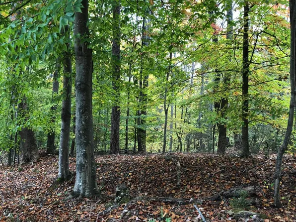 TRACT Moonriver Ln #F, Moneta, VA 24121