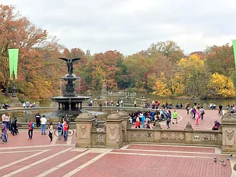 Rented by Manhattan Connection