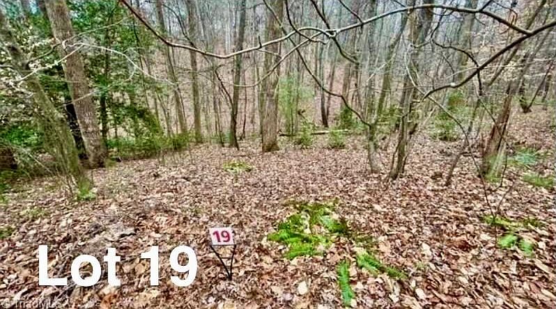 1st image of 19 Woods Haven Ln