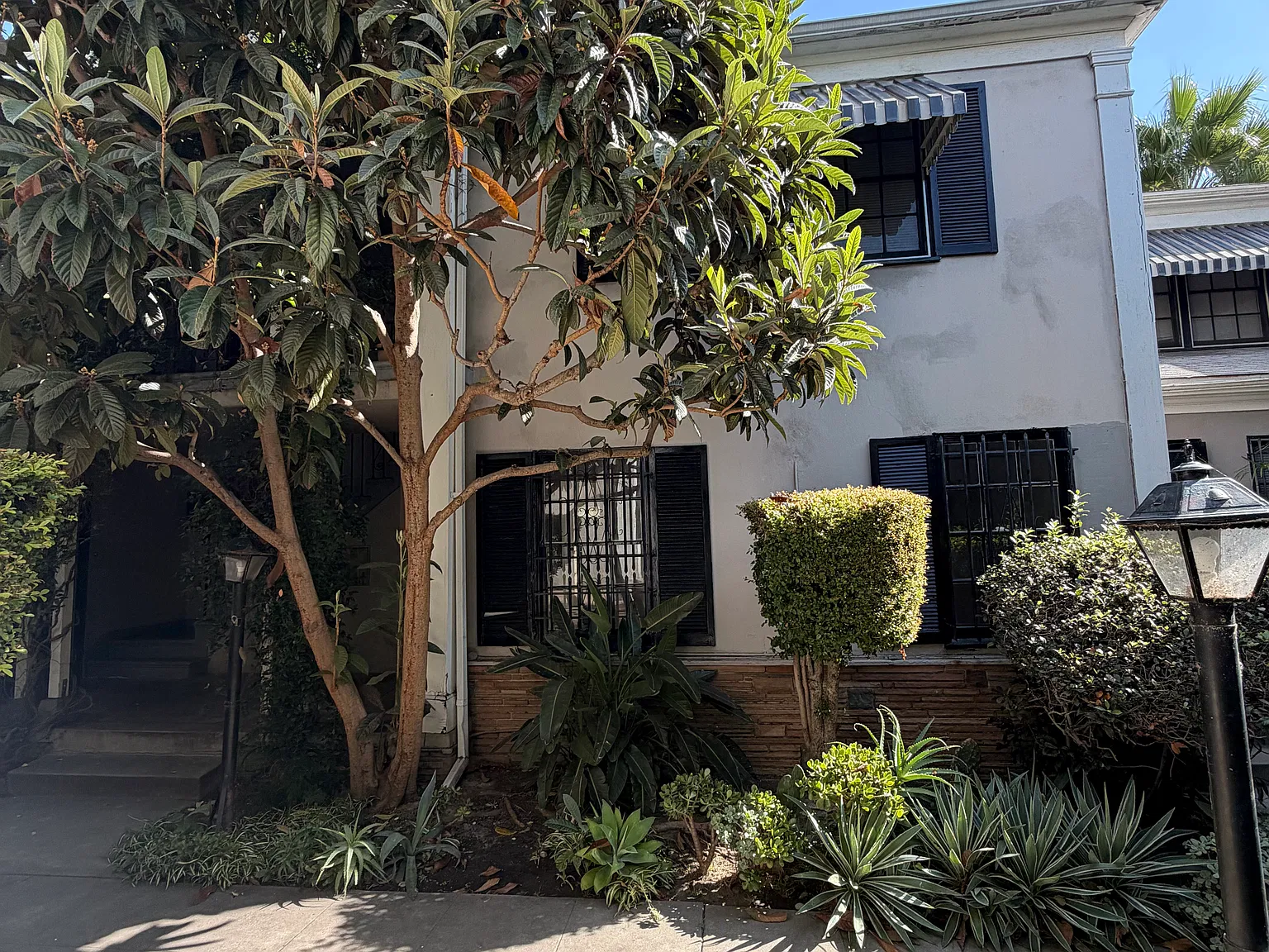 1 bed, 650 sqft, $2,200 — Photo 3