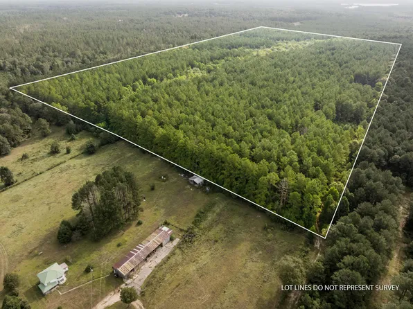 80/AC Arthur Lowe Rd, Lumberton, MS 39455