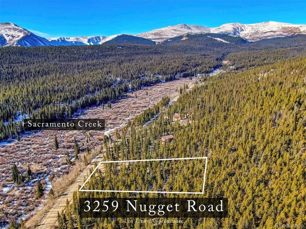 3259 Nugget, Fairplay, CO 80440