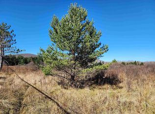 TRACT Cortland Rd #C, Davis, WV 26260