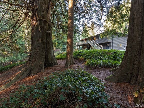 LOOKING UP FROM SPOONER CREEK SIDE OF PROPERTY !