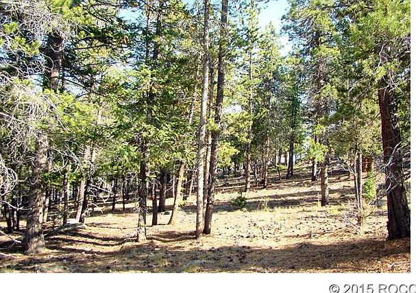 1st image of 30306 Aspen Turn
