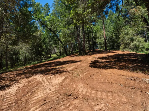 3801 Glory Hole Ct, Camino, CA 95709