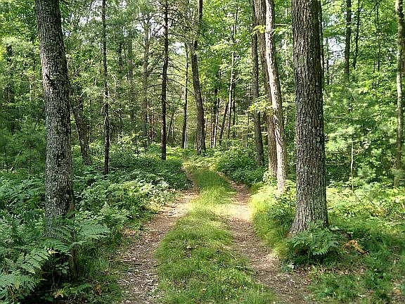 2nd image of 12 35th