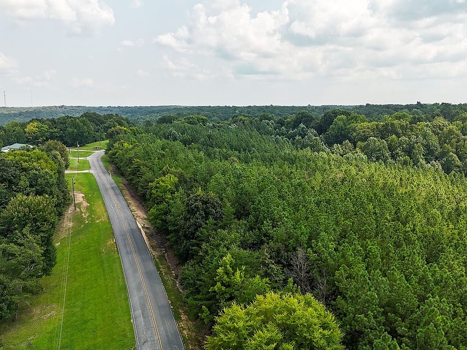 Compass South Land Sales Wagon Mountain Tract Alabama 1