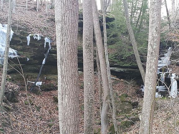 3rd image of 10831 State Route 374