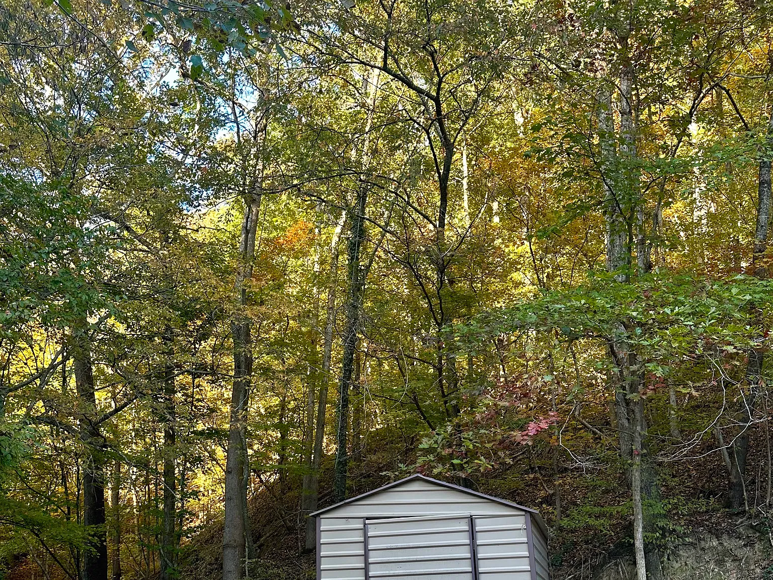 2 bed, 960 sqft, $1,950 — Photo 4