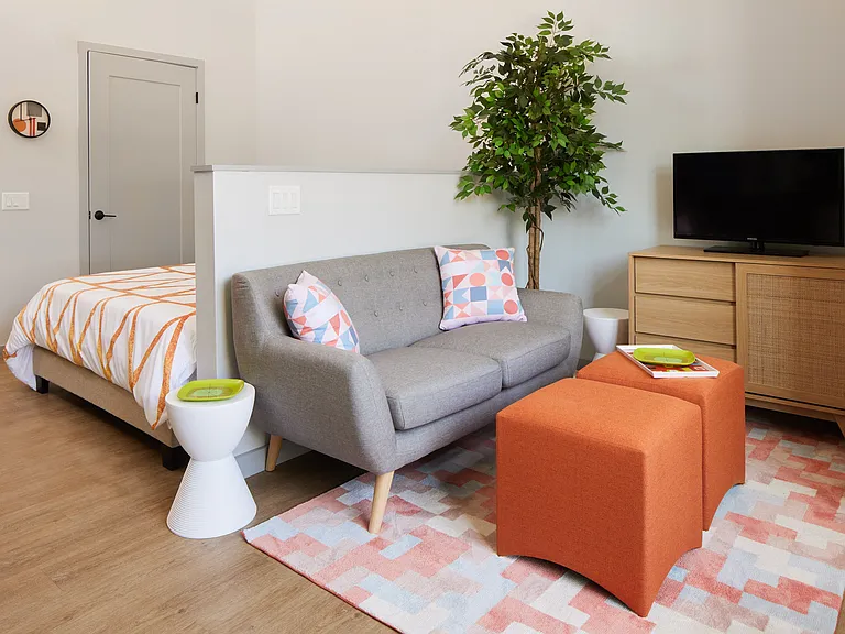A studio apartment with designated bedroom and living spaces
