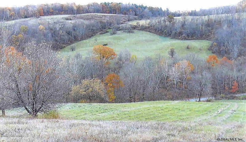 5th image of 0 SHELDON Road