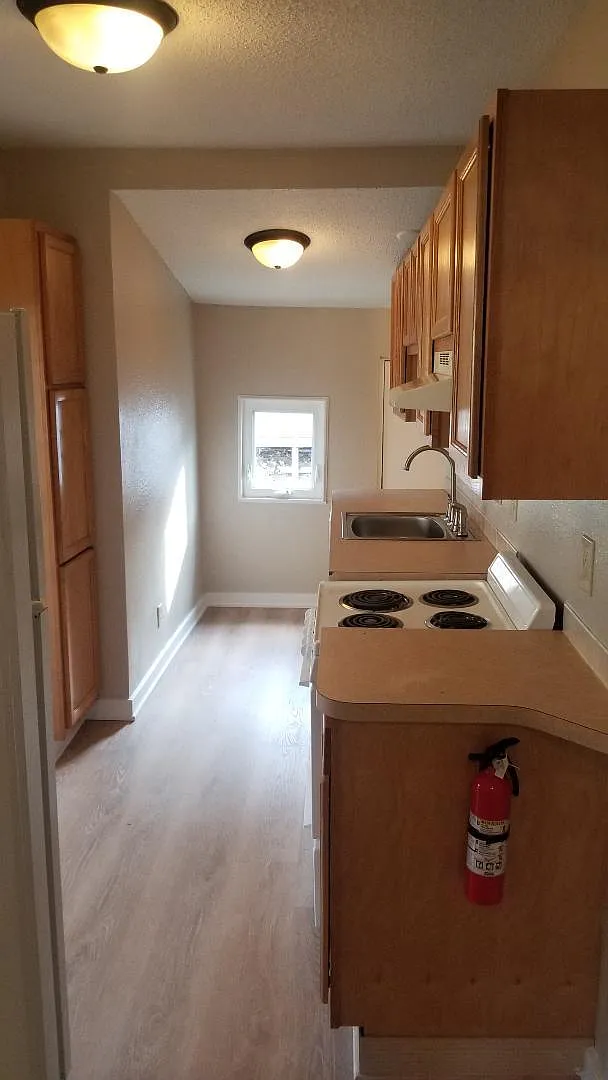 1 bed, 516 sqft, $1,045 — Photo 4