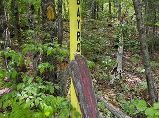 LOT 1689 Bog Rd, Lexington Twp, ME 04961