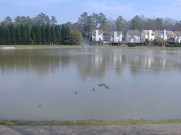 Community Pond and Walking Trail