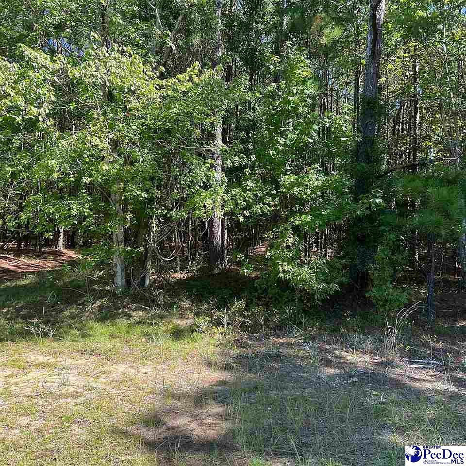 1921 Una Rd LOT 12, Lamar, SC 29069 | Zillow