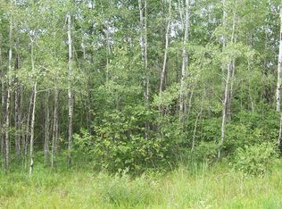 Tbd 16th St SW, Backus, MN 56435