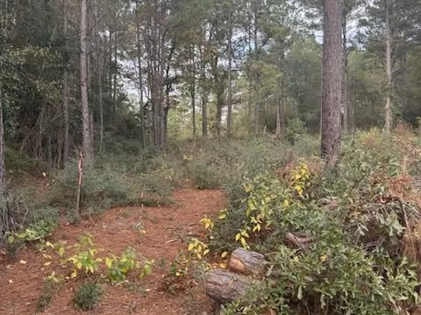 0 Basswood Ln, Plantersville, TX 77363