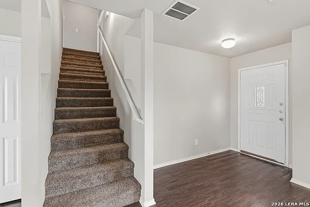 25513 Gold Yarrow — Photo 8