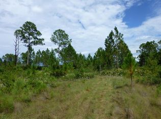 10111 Blackberry Rd, Mims, FL 32754