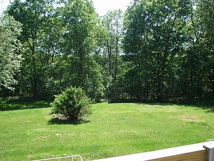 Rear Yard