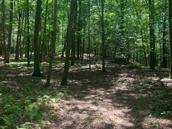 Lot 1 Chalybes Road West, Roxbury, CT 06783