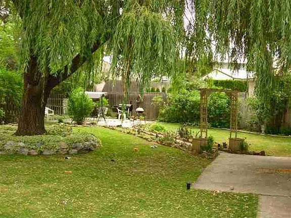 Lovely Backyard