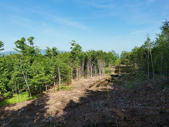 3rd image of Lot 12 Blair Hill Overlook Road