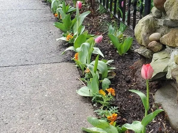 54 City Boulevard image 38 of 45