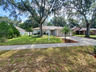 1115 Windhorst Ridge Dr, Brandon, FL, 33510