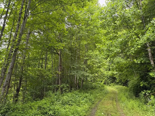 Osborne Mountain Rd, Raven, VA 24639