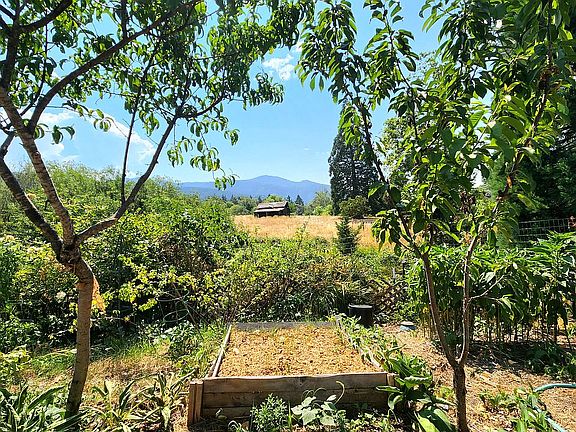 Raised bed and fruit trees