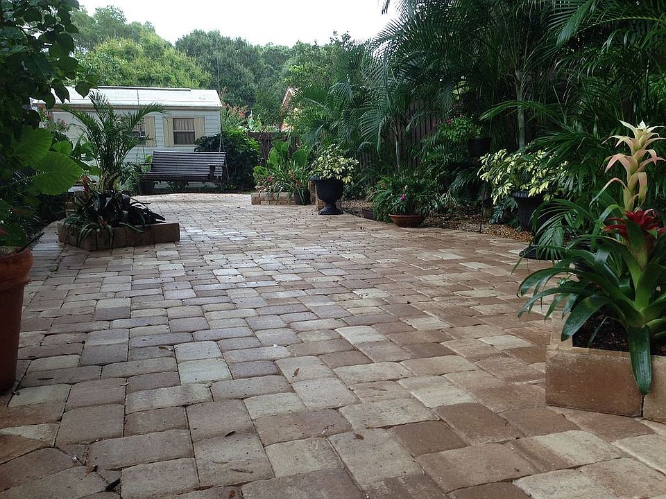 Back yard