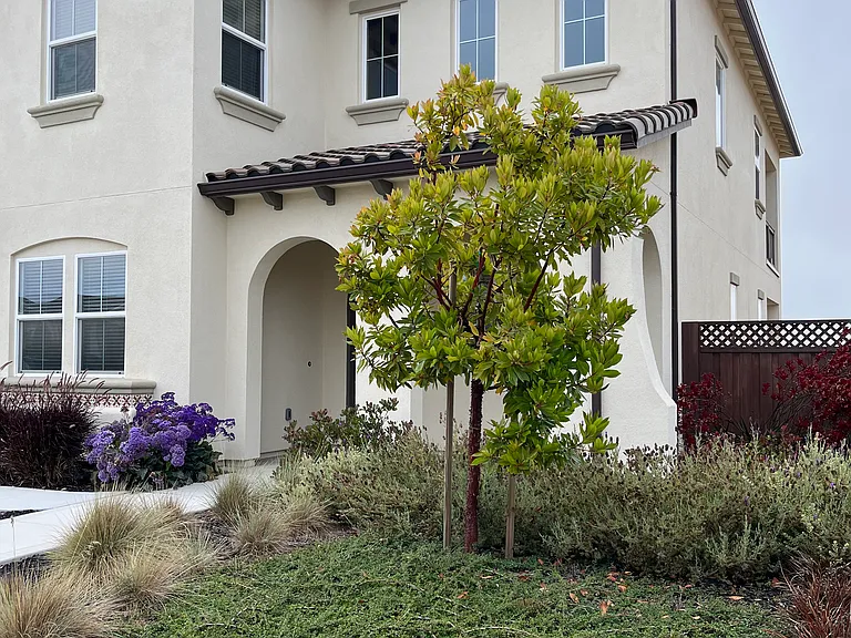 2971 Garnet Way — Photo 1