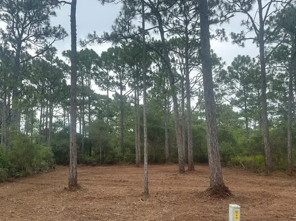 208 Royal Tern Way, Carrabelle, FL 32322