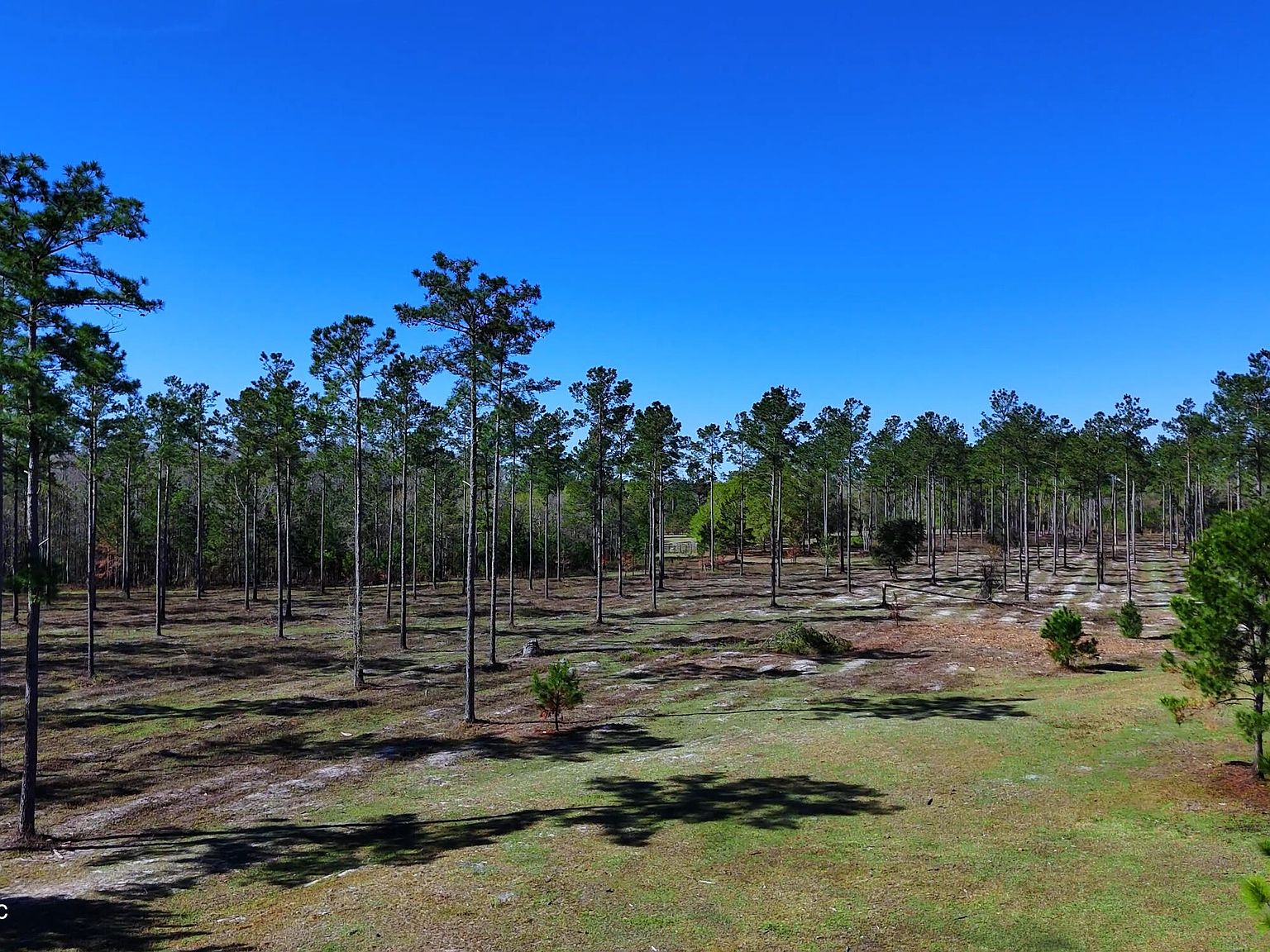 00 SEMINOLE Lane, Sanderson, FL 32087 | MLS #2092743 | Zillow