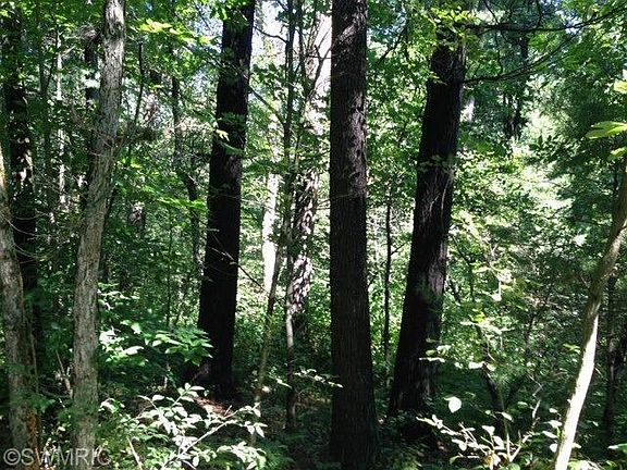 2nd image of Centennial Oak Dr