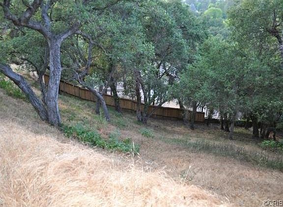 2nd image of 1919 Bayberry Dr