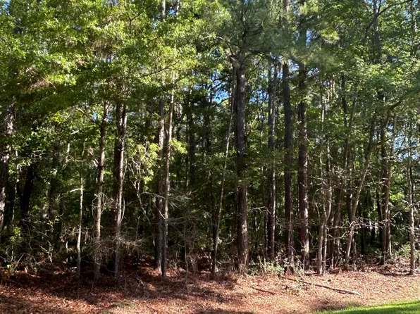 10018 Alert Rd, Mc Clellanville, SC 29458