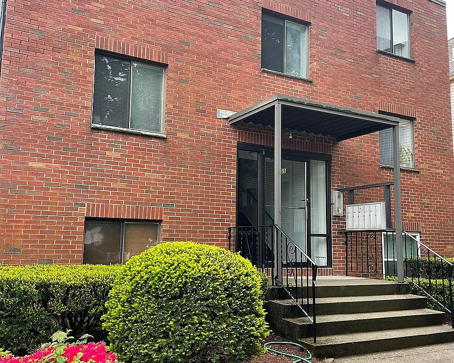 51 Chestnut St #3