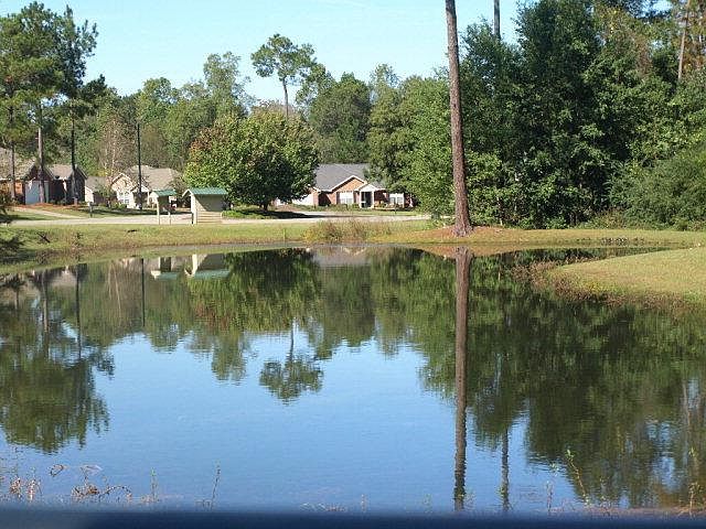 2nd image of 608 Glade Fern Way