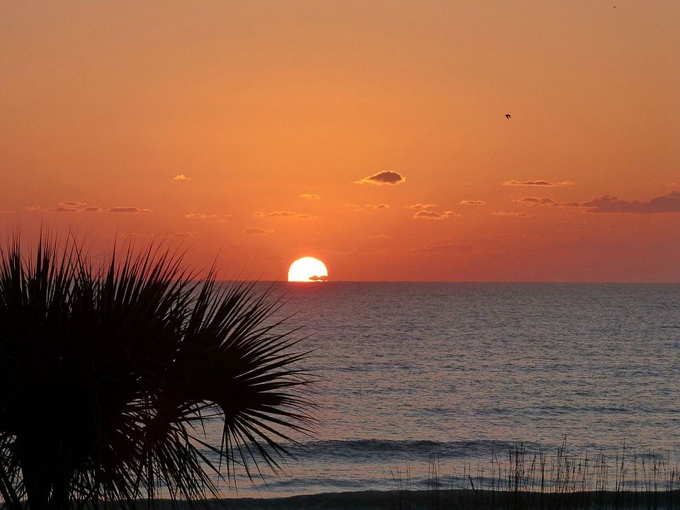 Sunrise from 204