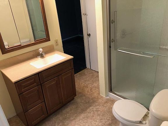 Downstairs bath, new vanity, and shower, door to basement