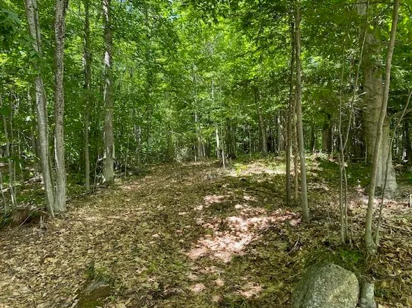 Lot 13 Richards Road, Newbury, NH 03255
