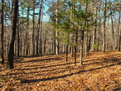 3.1 Railroad Cut Rd, Rogers, AR, 72756