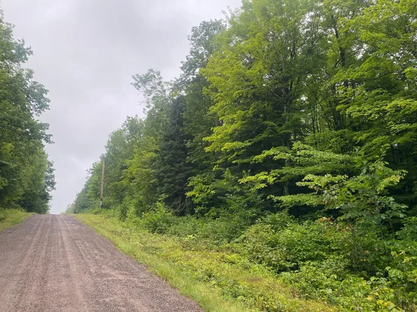 N Uncle Toms Rd, Winter, WI 54896