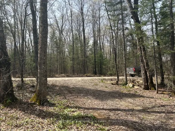 0 Ely Side Rd, Armour, ON P0A 1C0