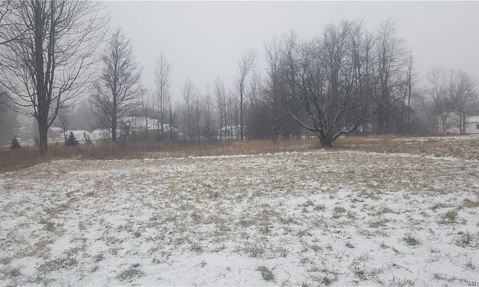 2nd image of 11394 Crego Rd